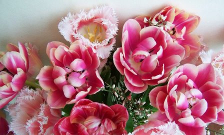 Obraz wyróżniający do aktualności