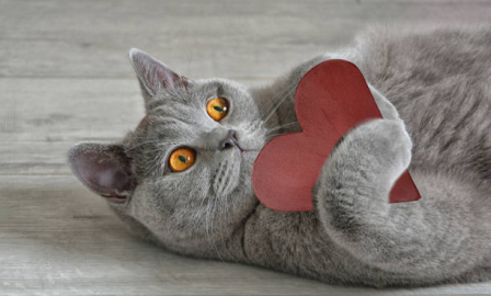 Zdjęcie do aktualnosci