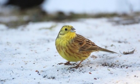 Zdjęcie wyróżniające do aktualności.