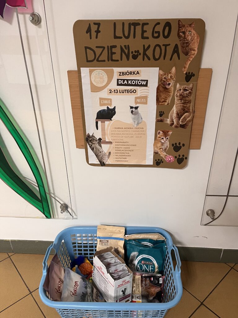 Zdjęcia Zbiórka dla schroniska.